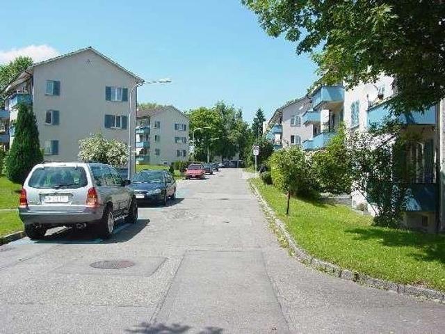 Apartment mieten in Einigen, Zürich