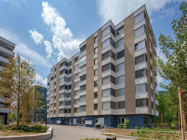 Apartment mieten in Einigen, Zürich