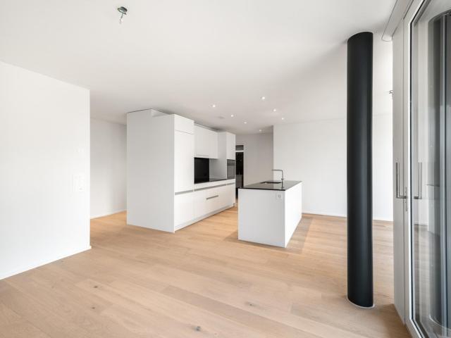 Apartment mieten in Einigen, Zürich
