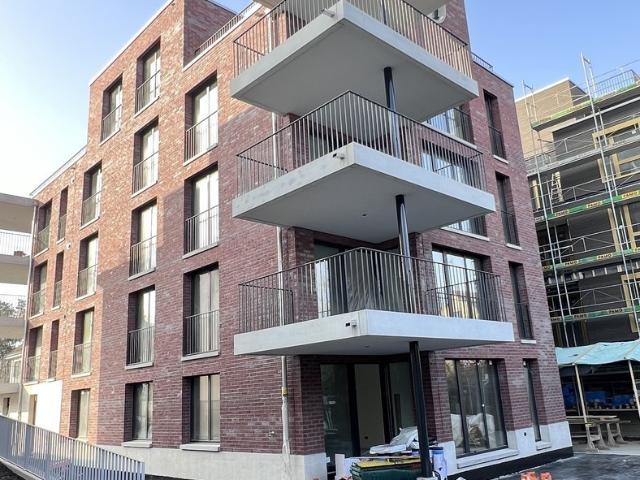 Apartment mieten in Einigen, Zürich