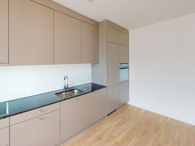Apartment mieten in Einigen, Zürich