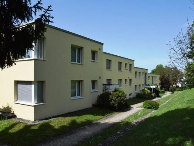 Apartment mieten in Einigen, Zürich