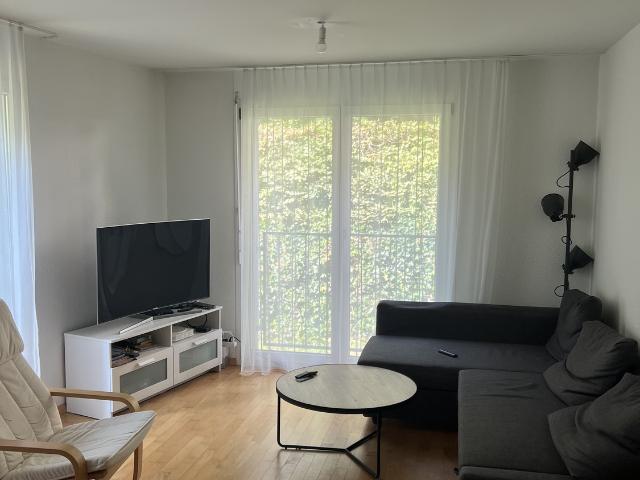 Apartment mieten in Einigen, Zürich