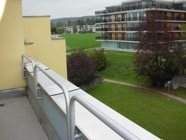 Apartment mieten in Einigen, Zürich
