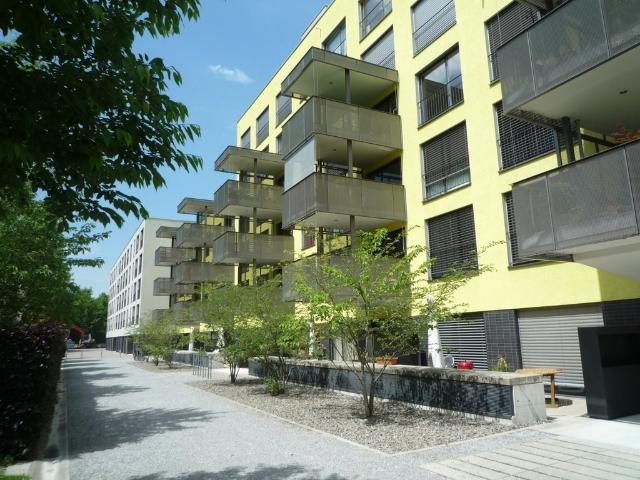 Apartment mieten in Einigen, Zürich