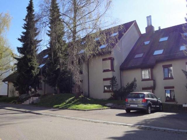 Apartment mieten in Einigen, Zürich