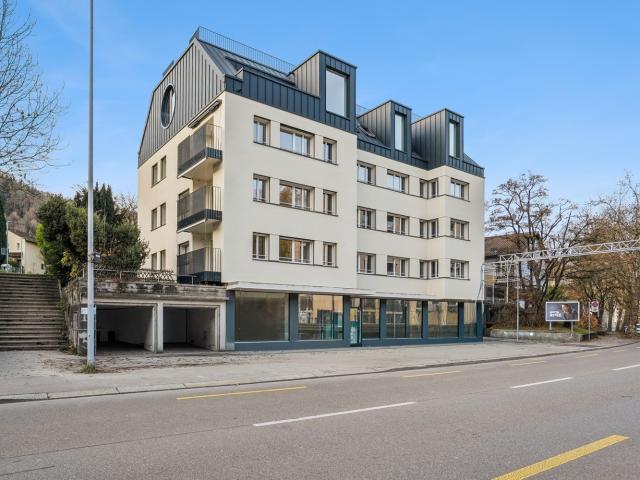 Apartment mieten in Einigen, Zürich