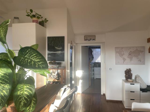Apartment mieten in Altstetten, Zürich