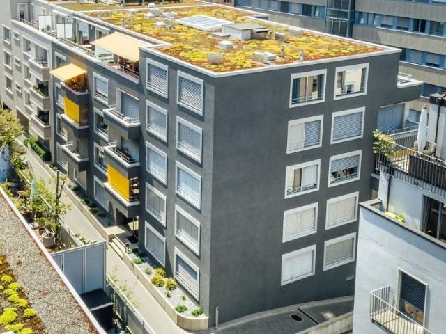 Apartment mieten in Einigen, Zürich