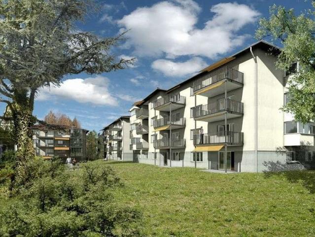 Apartment mieten in Einigen, Zürich
