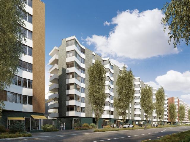 Apartment mieten in Einigen, Zürich