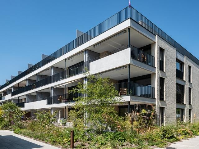 Apartment mieten in Bremgarten (AG), Aargau