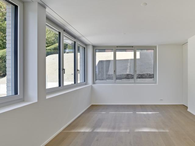 Apartment mieten in Würzenbach, Luzern