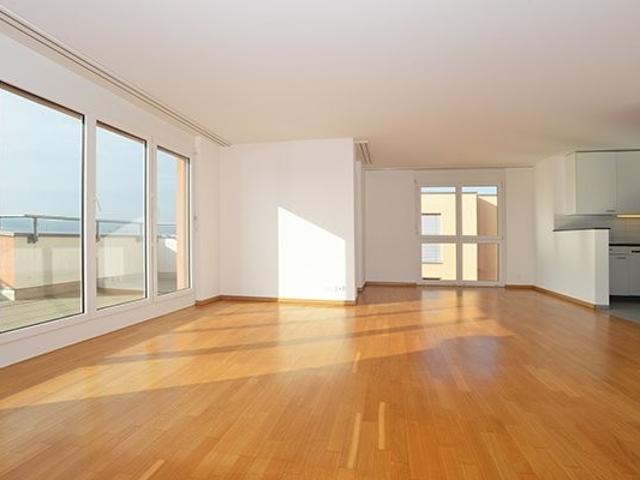 Apartment mieten in Hegnau, Volketswil