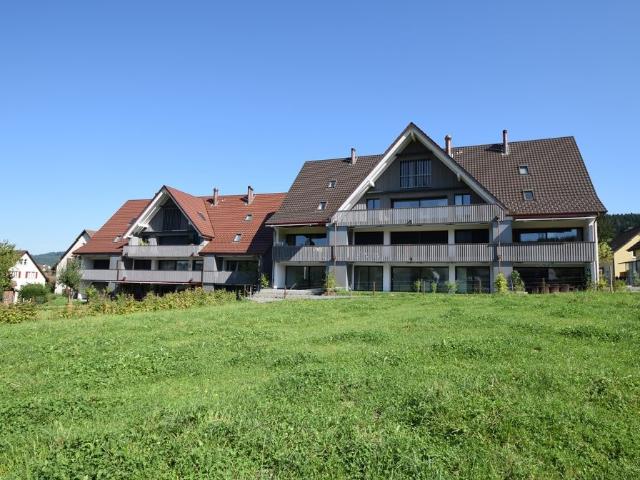 Apartment mieten in Aesch (ZH), Zürich