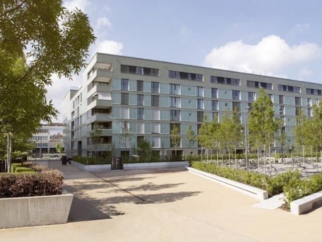 Apartment mieten in Einigen, Zürich