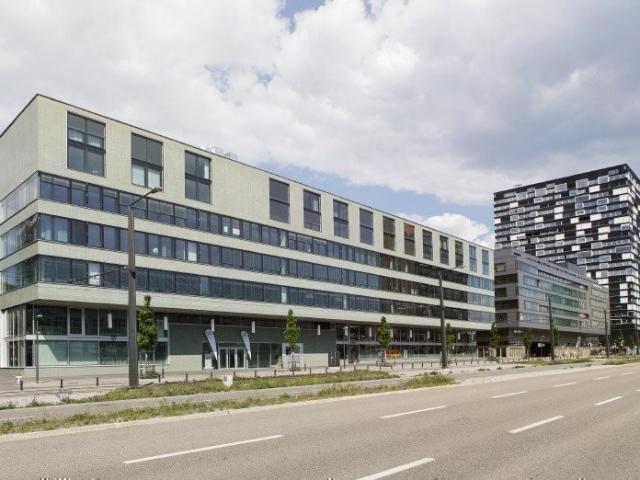 Apartment mieten in Einigen, Zürich