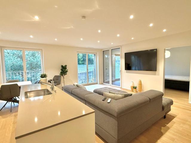 Apartment mieten in Altstadt, Luzern
