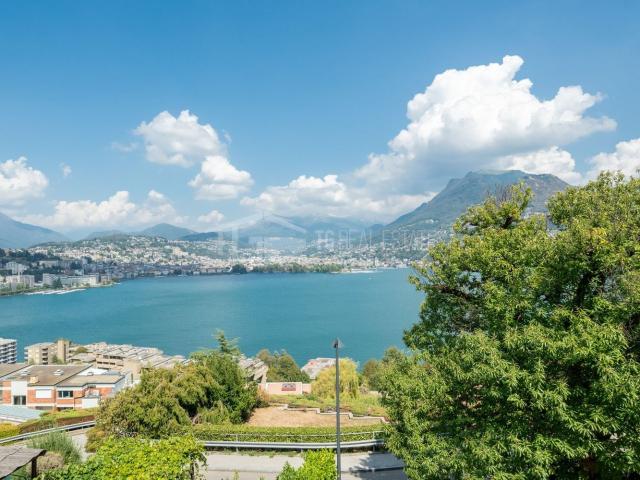 Apartment mieten in Paradiso, Tessin