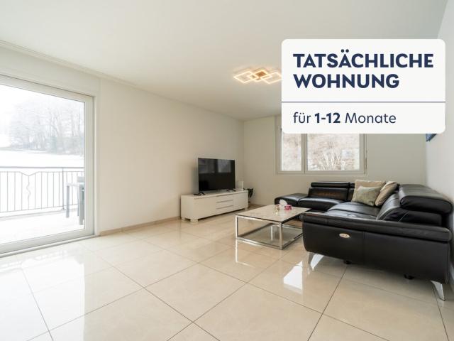 Apartment mieten in Safenwil, Aargau