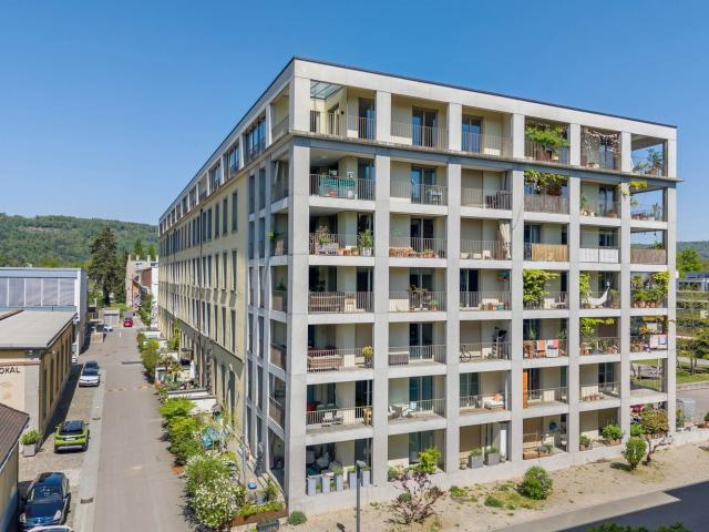 Apartment mieten in Windisch, Aargau