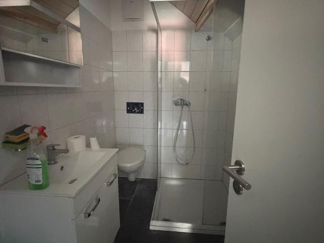 Apartment mieten in Einigen, Zürich