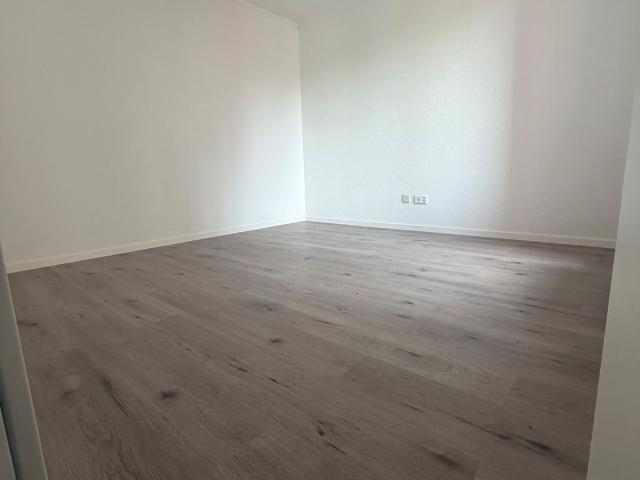 Apartment mieten in Einigen, Zürich