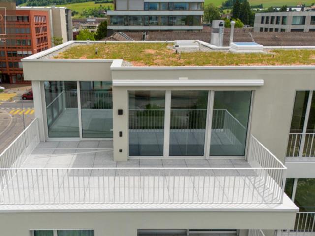 Apartment mieten in Oberwil bei Zug, Zug