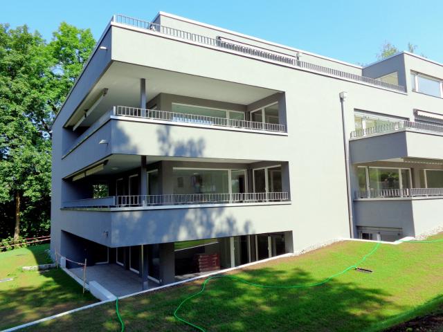 Apartment mieten in Einigen, Zürich