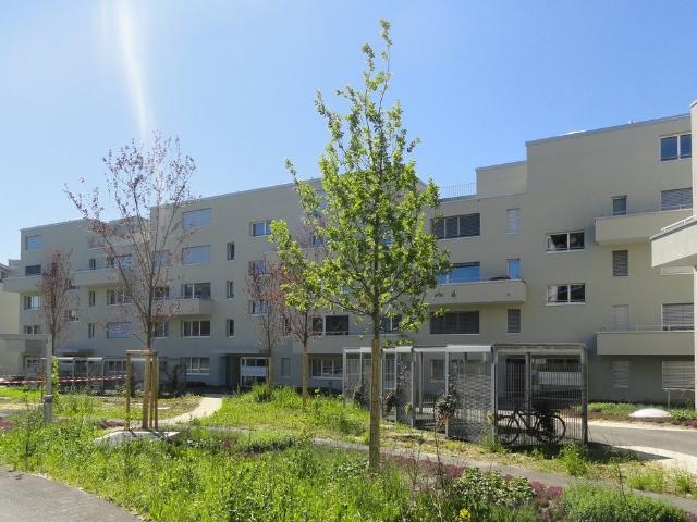 Apartment mieten in Aarburg, Aargau
