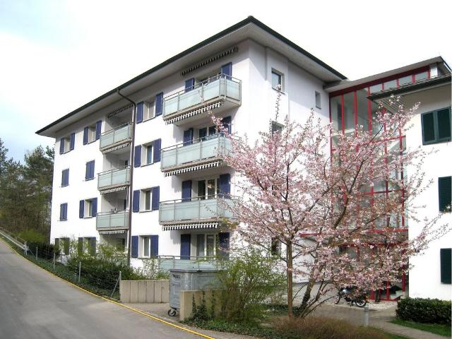 Apartment mieten in Adliswil, Zürich