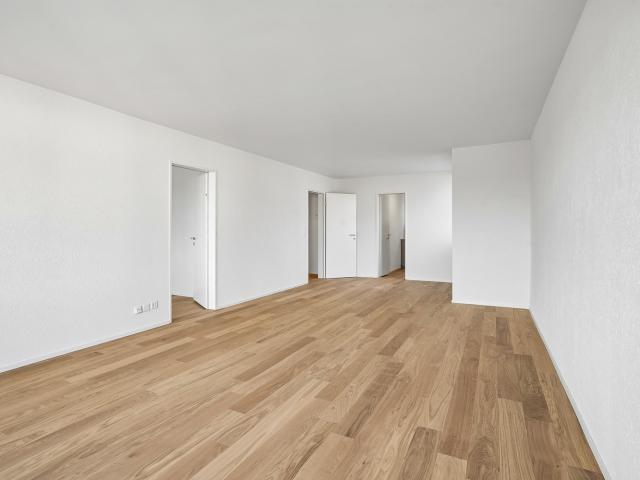 Apartment mieten in Adliswil, Zürich
