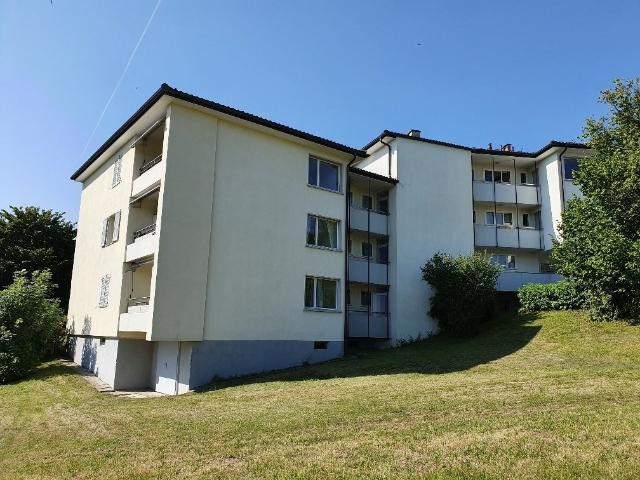 Apartment mieten in Adliswil, Zürich