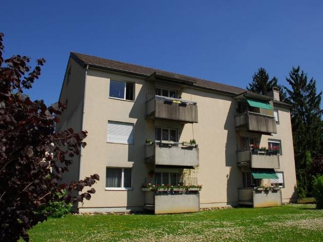 Apartment mieten in Aesch (BL), Basel-Landschaft