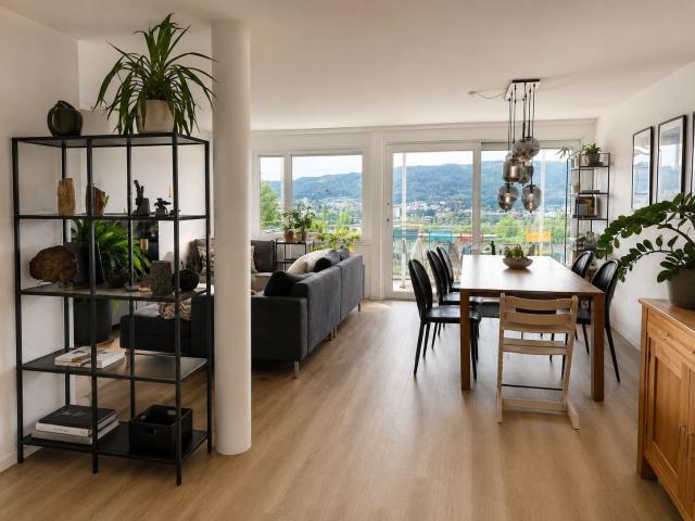 Apartment mieten in Baden, Aargau