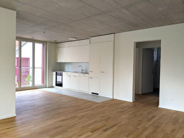 Apartment mieten in Merenschwand, Aargau