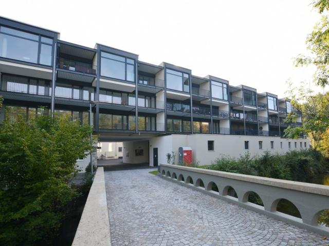 Apartment mieten in Bergdietikon, Aargau