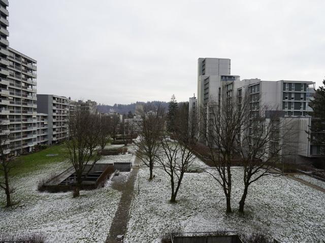 Apartment mieten in Bern