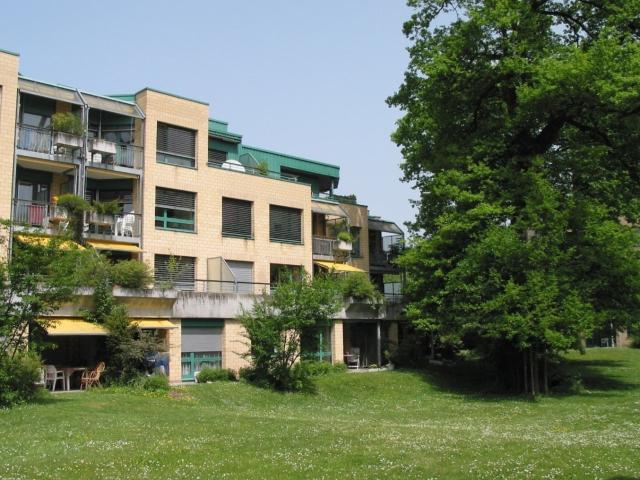 Apartment mieten in Murifeld, Bern