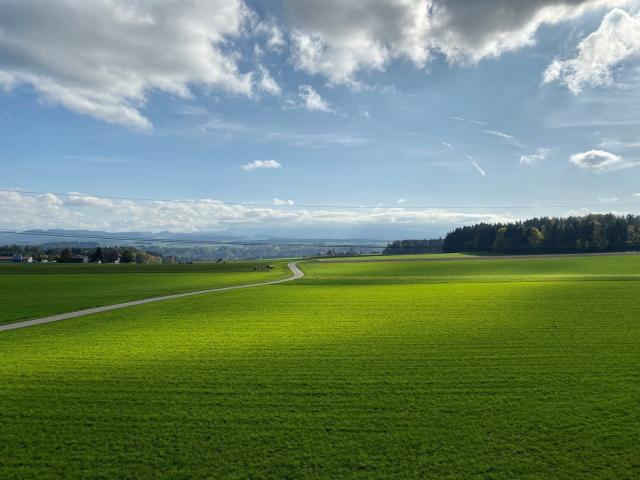 Apartment mieten in Bern