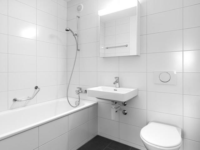 Apartment mieten in Murifeld, Bern