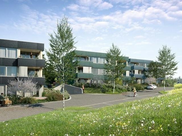 Apartment mieten in Birmensdorf (ZH), Zürich