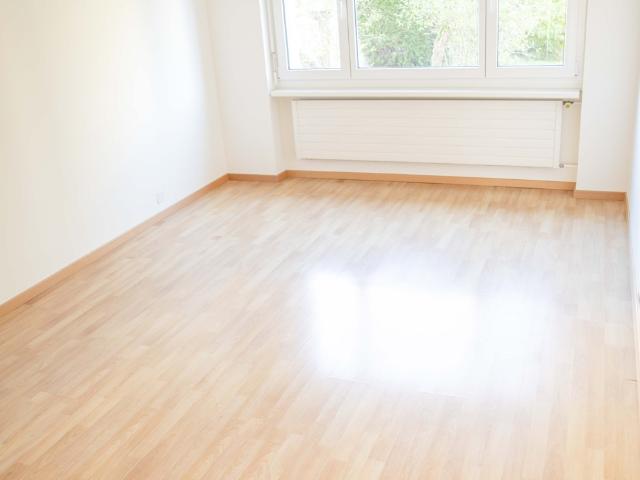 Apartment mieten in Birmensdorf (ZH), Zürich
