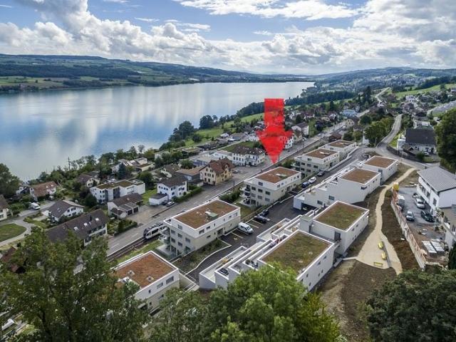 Apartment mieten in Birrwil, Aargau