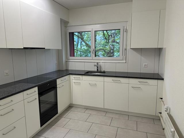 Apartment mieten in Brugg (AG), Aargau