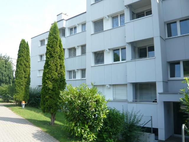 Apartment mieten in Buchs (ZH), Zürich