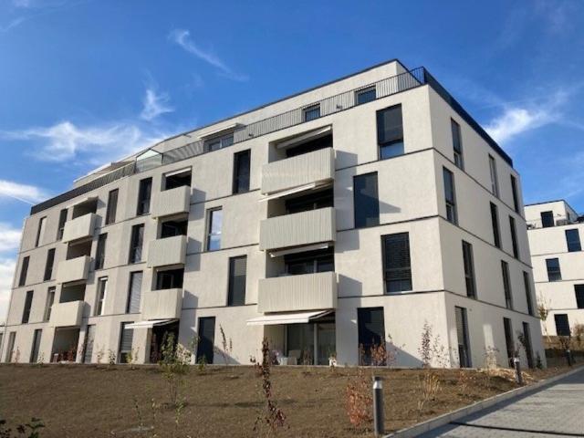 Apartment mieten in Waadt