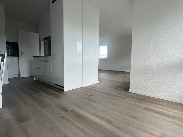Apartment mieten in Däniken (SO), Solothurn