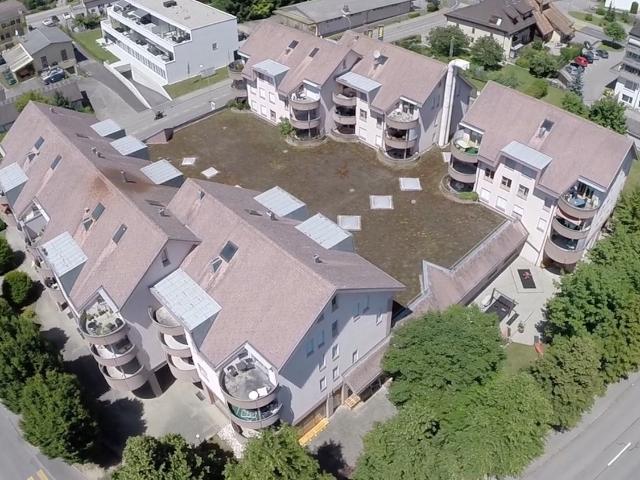 Apartment mieten in Däniken (SO), Solothurn