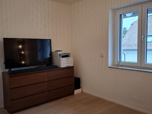 Apartment mieten in Hätschen, Dietikon